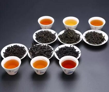 茶葉未來發展，名茶PK民茶